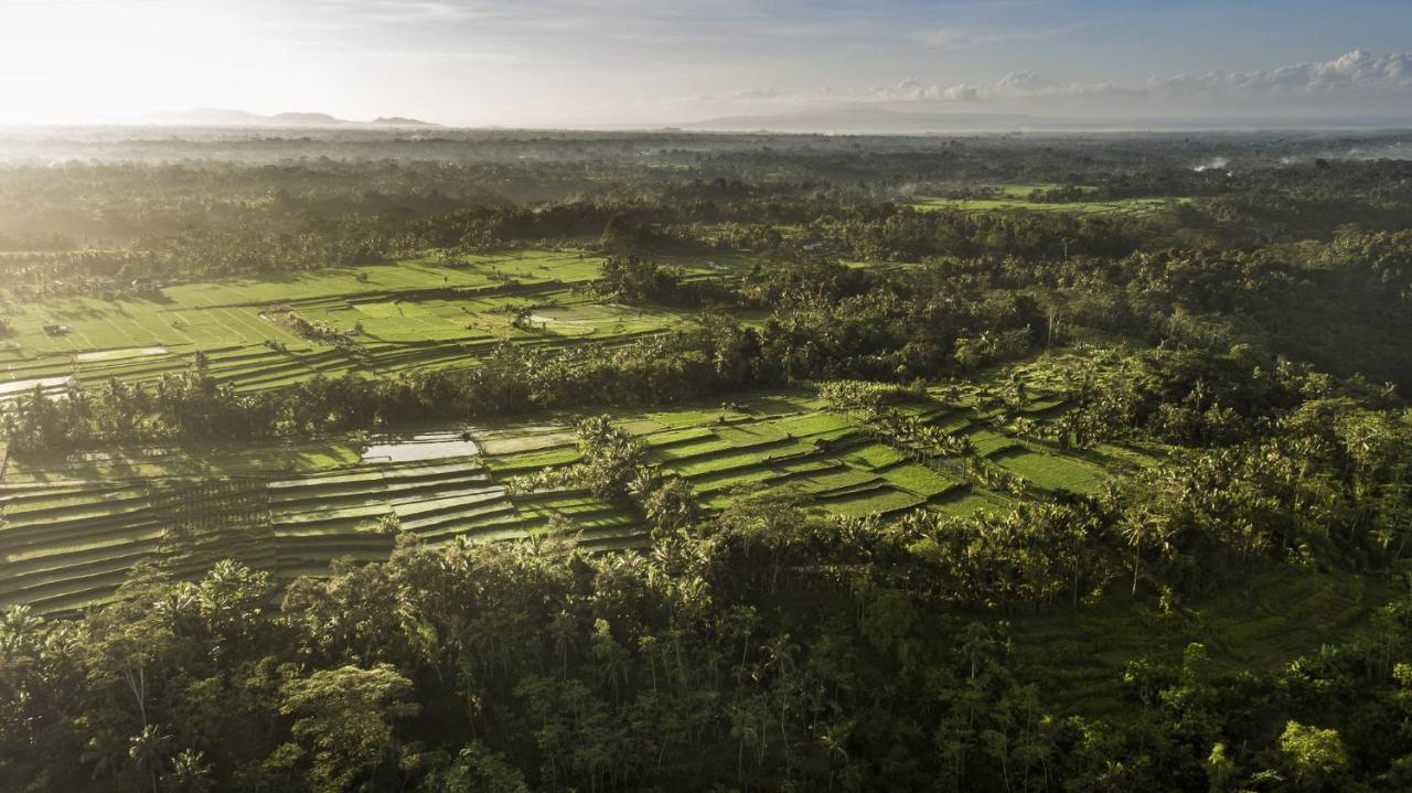 Como Shambhala Estate Payangan Exteriör bild
