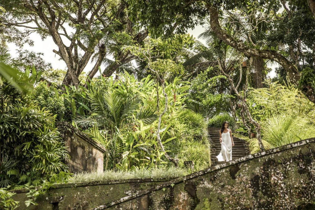 Como Shambhala Estate Payangan Exteriör bild